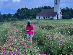 -云漫湖生态度假公园