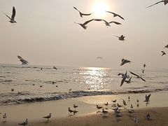 -老虎石海上公园