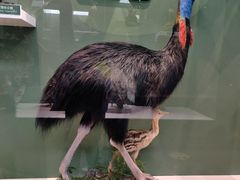 -国家自然博物馆