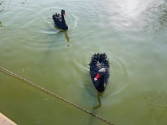 -无锡动物园·太湖欢乐园