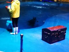 -烟台海昌鲸鲨海洋公园