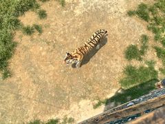 -泉城欧乐堡海洋极地世界