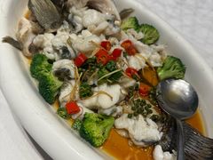 青花椒龙胆鱼-富黎华海鲜大酒楼(正大广场店)