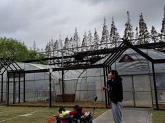 -前小桔亲子创意农场·草莓采摘·露营烧烤