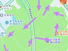 -桃花岭景区