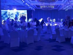 -曼格纳婚礼艺术中心(张江店)