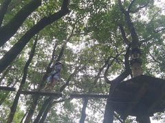 -WeLope紫金山探险公园