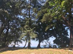 -马奴干岛