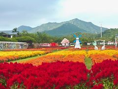 -盈香心动乐园