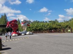 -黄海国家森林公园