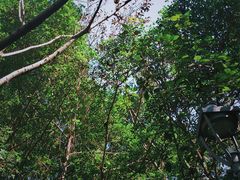 -金鸡山公园