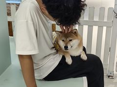 -怪兽屋·羊驼·猫咖·狗咖(俊华广场店)