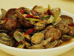 辣炒蛤蜊&nbsp;18元-海岛渔村大酒店(云霄路店)