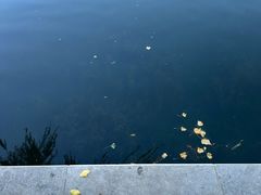 -后海公园