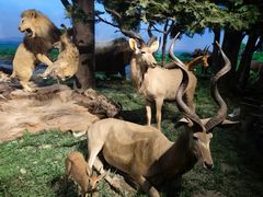 -国家自然博物馆