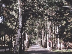 -北京大学(昌平校区)