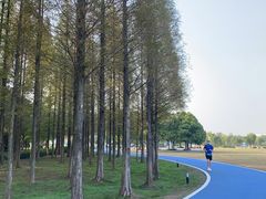 -宜兴龙背山森林公园