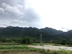 -竹语饭香·原生态农庄·烧鸡·竹筒饭·河鲜(森林海白水寨店)