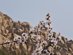 -北京凤凰岭