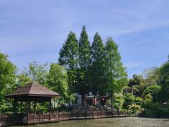 -石塘人家