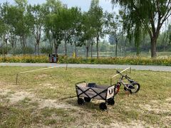 -东郊湿地公园