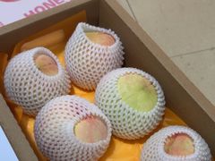 -老袁家蜜桃农场·阳山水蜜桃