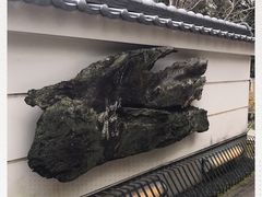 -料亭菊水楼
