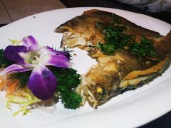 -JUKEBOX玖部音乐餐厅(华侨城店)