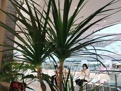 -江南厨子(万象天地店)