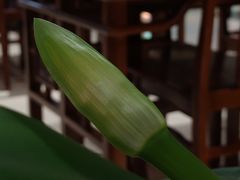 -福慧慈缘素食餐厅(王府井店)