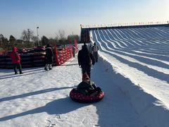 -绿野森林乐园冰雪季
