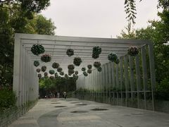 -深圳国际园林花卉博览园