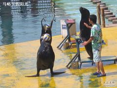 -秦皇岛乐岛海洋王国