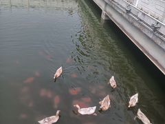 -西安汉城湖景区