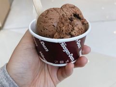 巧克力单球-哈根达斯(天河城店)