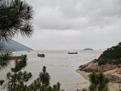 -北岐滩涂