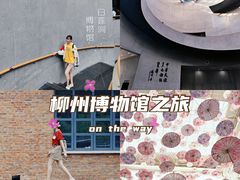 -柳州白莲洞洞穴科学博物馆
