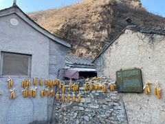 -鑫淼馫农家乐餐馆