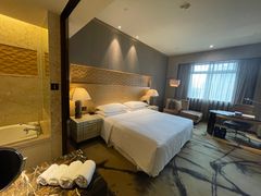 -西安赛瑞喜来登大酒店