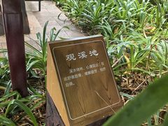 -七彩云南古滇温泉山庄