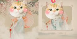 点击看大图 -倾城宝贝儿童摄影(浦东金谊店)