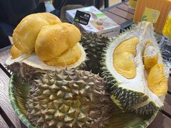 -榴莲BB 四季果园