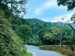 -阳台山森林公园