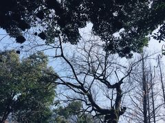 -欣怡茶庄·始于1999(梅家坞店)