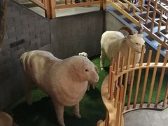 -宛平李记火锅(东关街店)