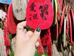 -西双版纳原始森林公园