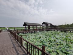 -天津东丽湖风景区