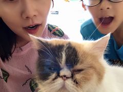 -平行世界·猫咖(首经贸店)