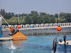 -秦皇岛乐岛海洋王国