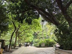 -九龙公园